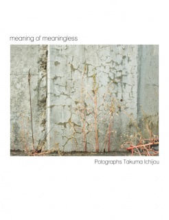 meaning of meaningless