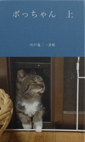 ボっちゃん　上
