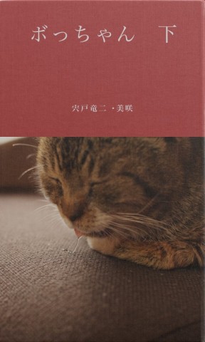 ボっちゃん　下