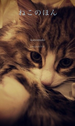 ねこのほん