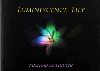Luminescence Lily