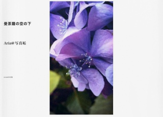 曼荼羅の空の下