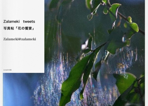 Zalameki　tweet写真帖「花の饗宴」