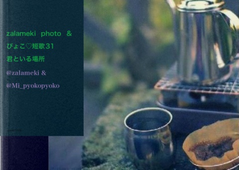zalameki photo & ぴょこ♡短歌31「君といる場所」