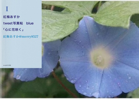 紅梅あすか＠merry8527 tweet写真帖　「心に花咲く」