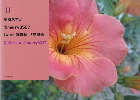 紅梅あすか‏@merry8527「花可憐」