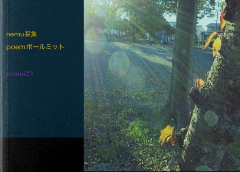 nemu栞集　ボールミット