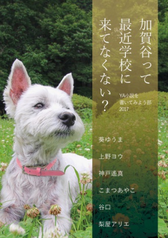 加賀谷って最近学校に来てなくない？