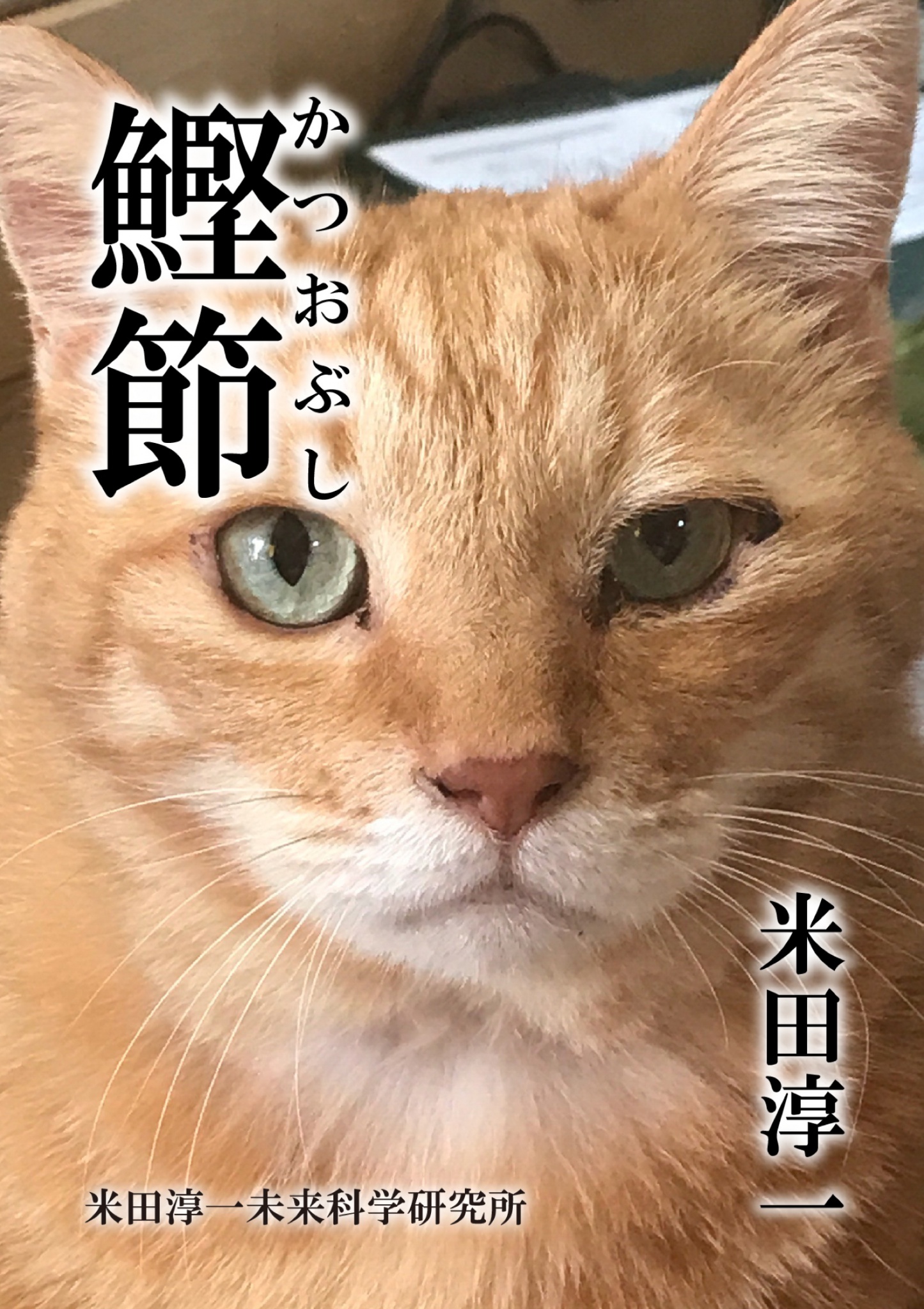 cks ブックス 鰹節 米田淳一著