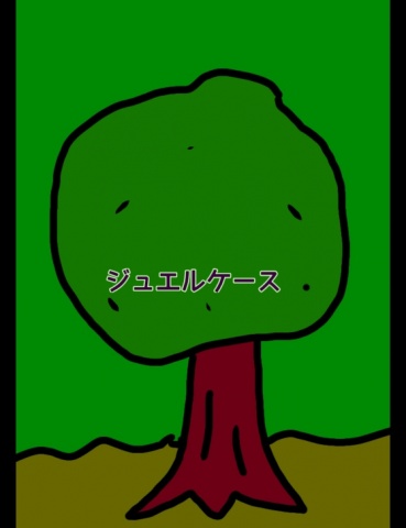 ジュエルケース３３