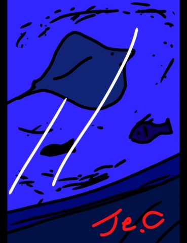 ジュエルケース３８