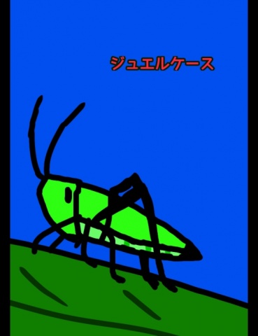 ジュエルケース４５