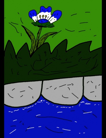 ジュエルケース５４