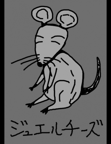 ジュエルケース５５