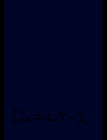 ジュエルケース１１３