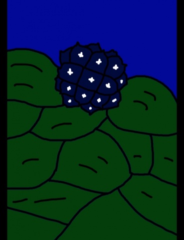 ジュエルケース１１４