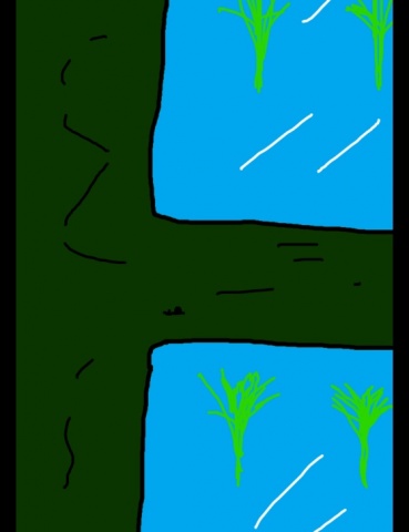 ジュエルケース１２０