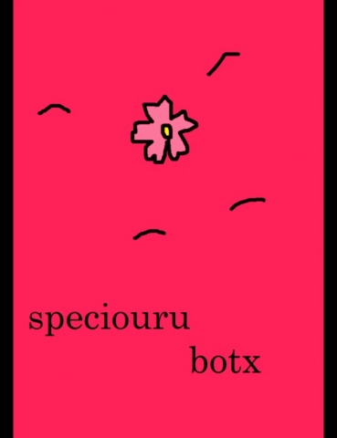 スペシャルボックス１３