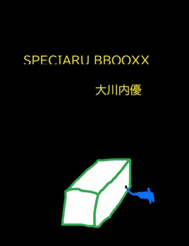 スペシャルボックス３３