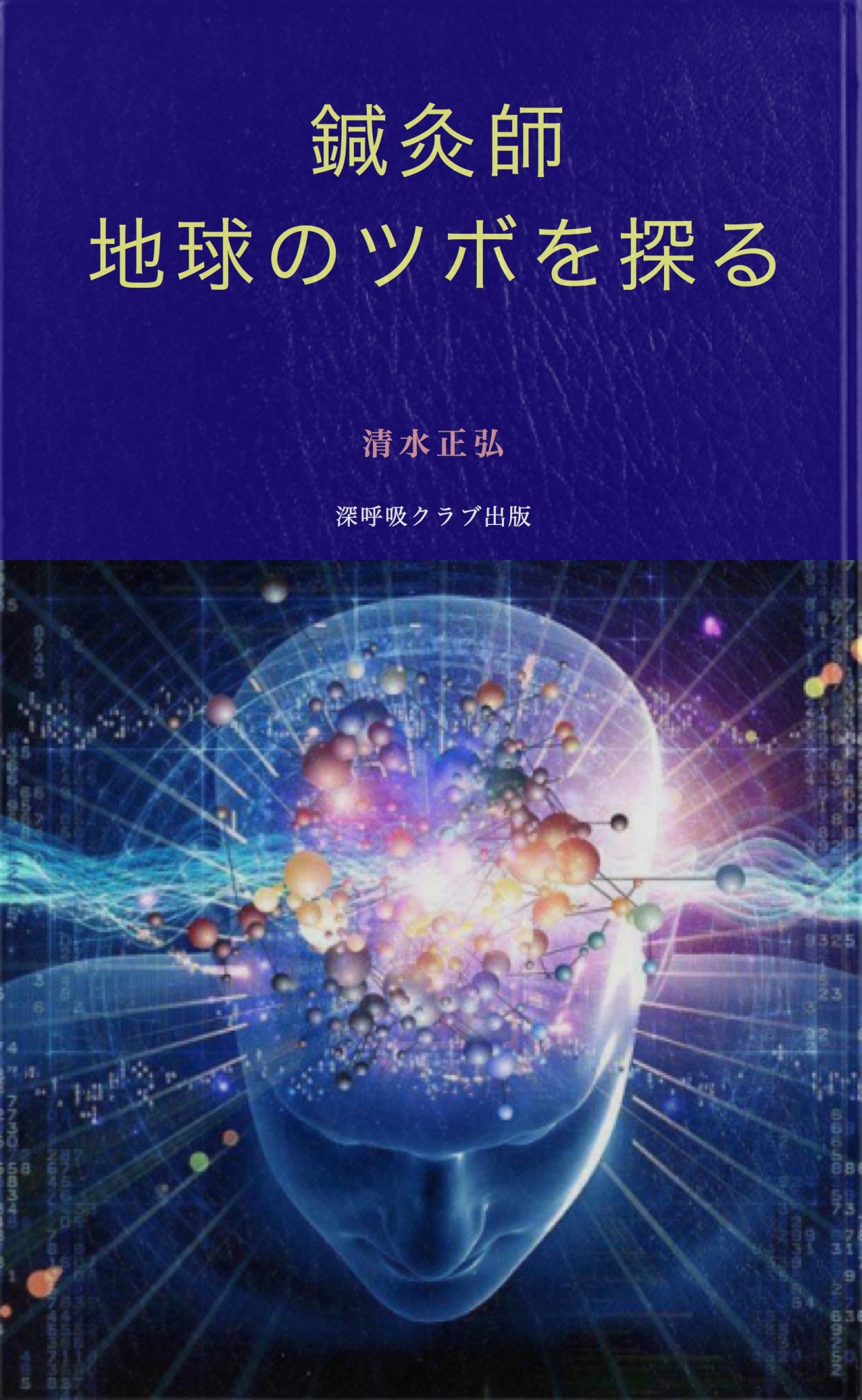 BCCKS / ブックス - 『鍼灸師・地球のツボを探る』清水正弘著