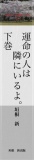 運命の人は隣にいるよ　　下巻