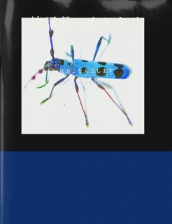 埼玉県のカミキリ