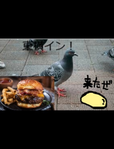 アガペーとその内情と諸々… 2025.4.19