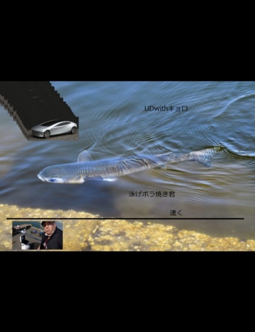 ボラージュスープ