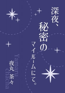 深夜、秘密のマイルームにて。