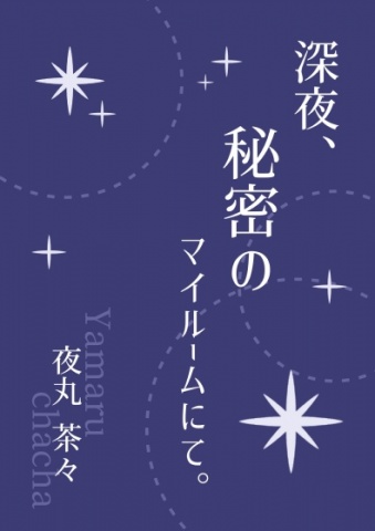 深夜、秘密のマイルームにて。