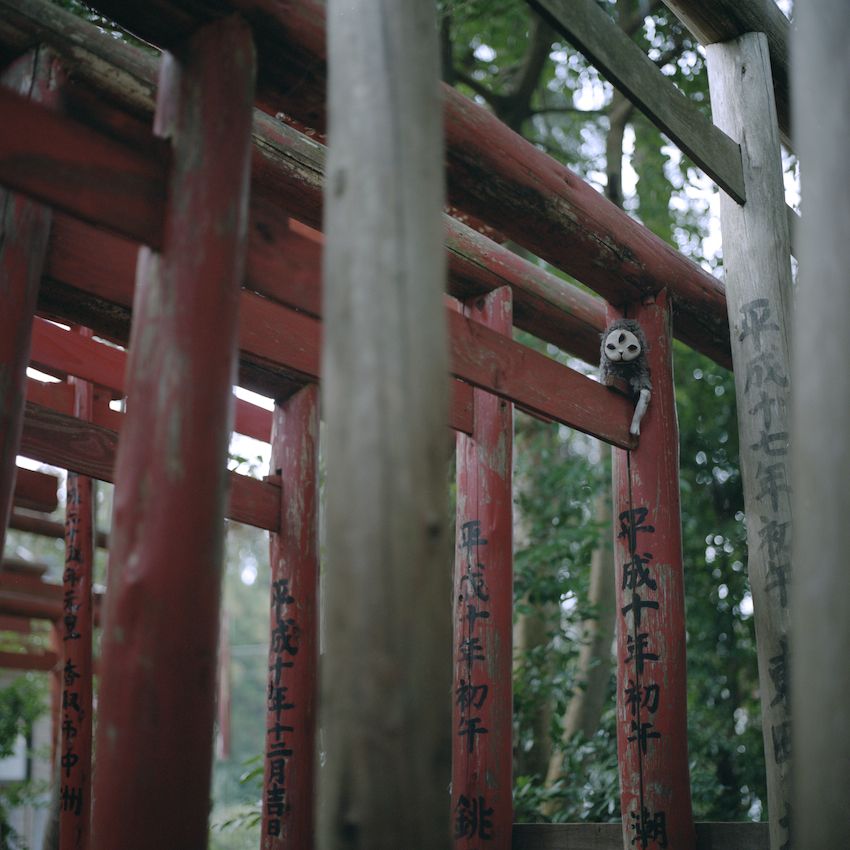 BCCKS / ブックス - 妖怪イヌジマ写真集 第二巻