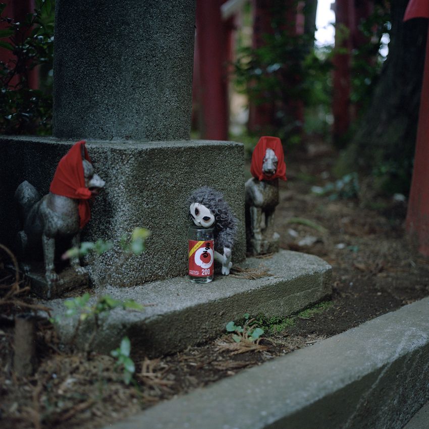 BCCKS / ブックス - 妖怪イヌジマ写真集 第二巻
