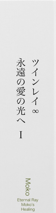 cks ブックス ツインレイ 永遠の愛の光へ ずっとあなたを探していた 魂の伴侶との愛の光への道のり