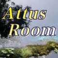 Attus Room