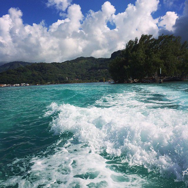 Beautiful non? #mer#ocean#fish#tahiti#tahaa#soleil#chaleur#chaud#bronzage#bateau#beautiful#instamoment
Wed, 15 Apr 2015 13:35:45 +0900 https://instagram.com/p/1e3zbBAl6r/
 (mathoumarcolini)からのいいね(1)